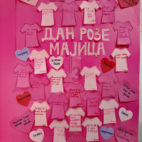 МЕЂУНАРОДНИ ДАН ПРОТИВ ВРШЊАЧКОГ НАСИЉА ИЛИ ДАН РОЗЕ МАЈИЦА