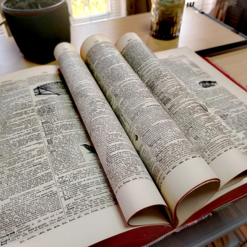 Прваци у Дечјој библиотеци